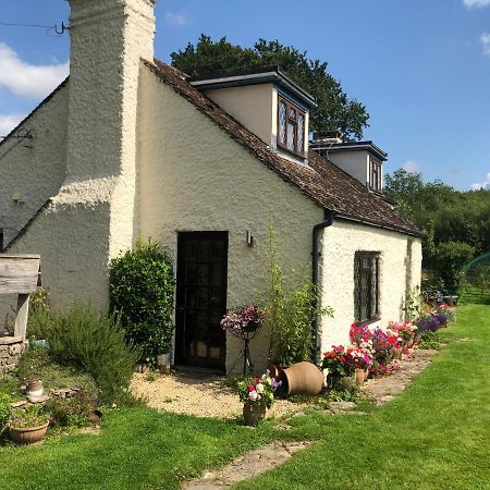 Chaseborough Farm Bed and Breakfast Verwood Exteriör bild