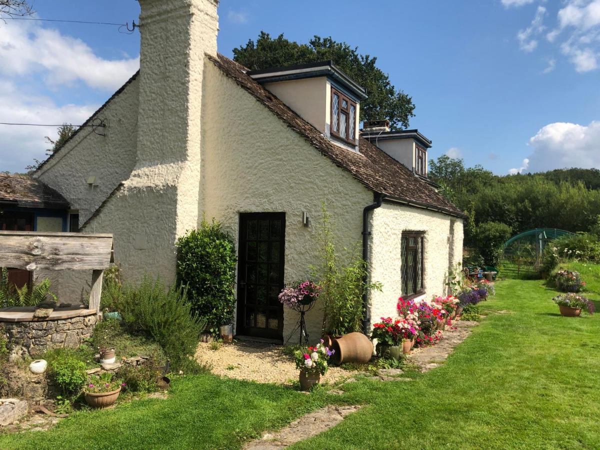 Chaseborough Farm Bed and Breakfast Verwood Exteriör bild