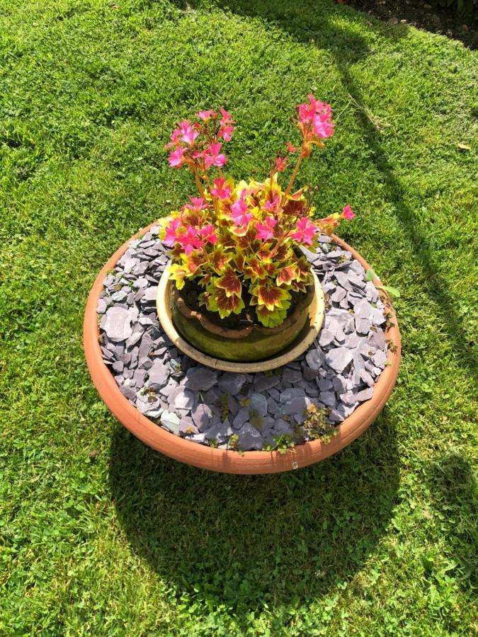 Chaseborough Farm Bed and Breakfast Verwood Exteriör bild