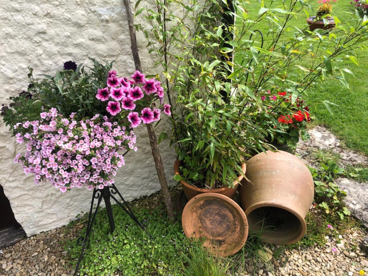 Chaseborough Farm Bed and Breakfast Verwood Exteriör bild